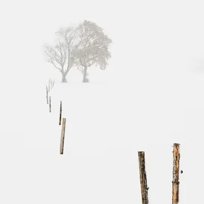 Heavy Snow