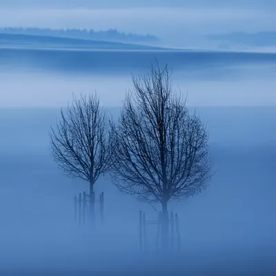 Two Boats