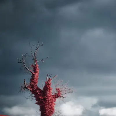 Breathing