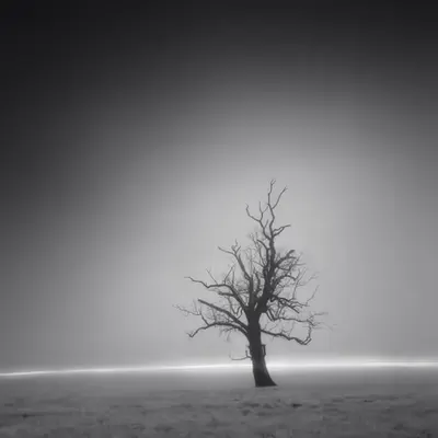 Void