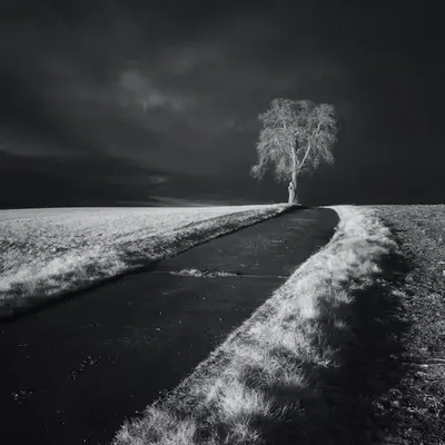 Fading Light