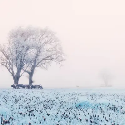 PA5731 AF734N00N