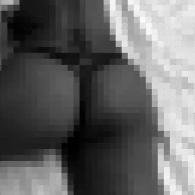 Pixelized Ass