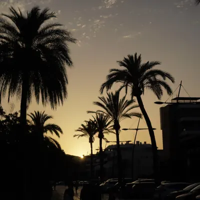Marina Botafoch