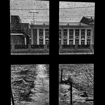 Snow on window