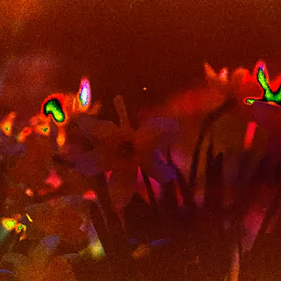 Flowers Only Flowers