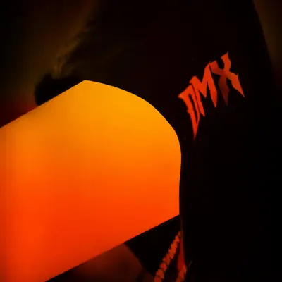 DMX FOREVER...