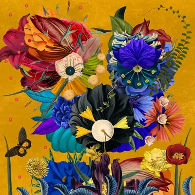 Re Opepen — Arcimboldo