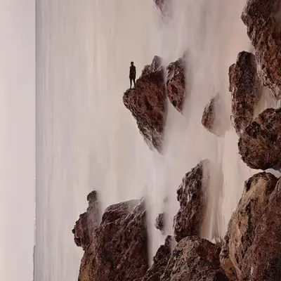 Look Out #1/1