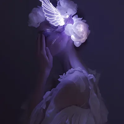 Shadowed Grace 