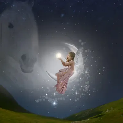 Find your light