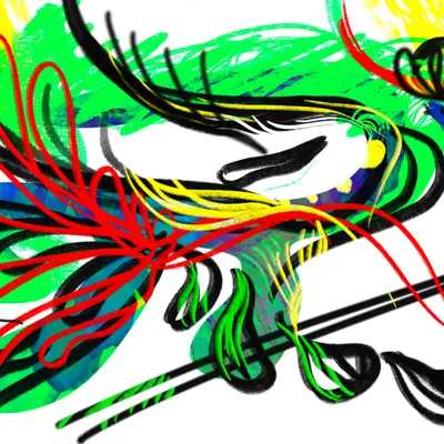 Birds of Paradise