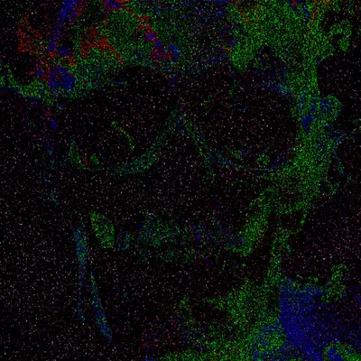 Skull Of The Dark