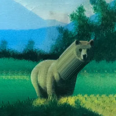 Oso
