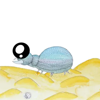 CryptoMignon #09/S01 - Scarabouille