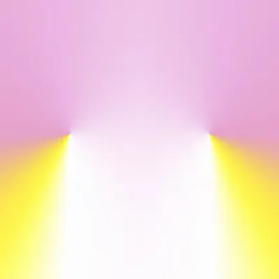 exp.8