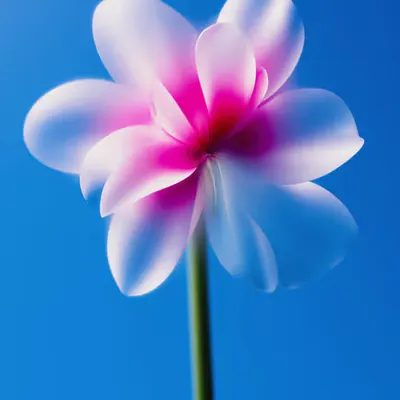 Dewdrop