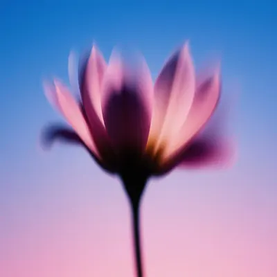 One