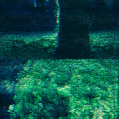 Behind the Digital Tree