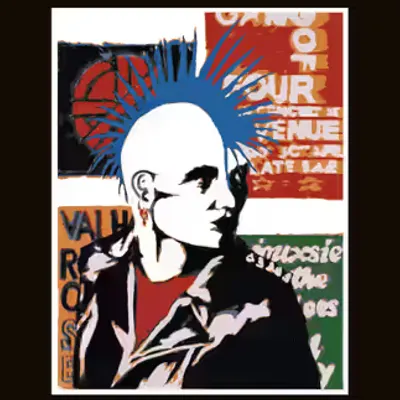 Mohawk Screen Print 1979
