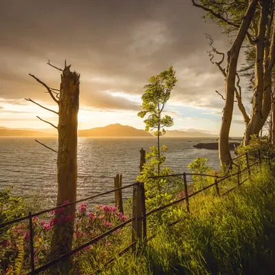 Walk in paradise
