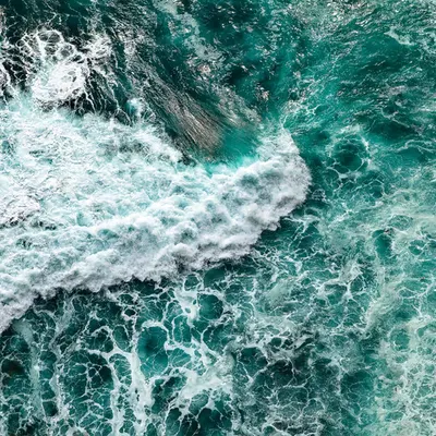 Ocean