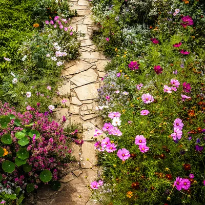 Walkway to House