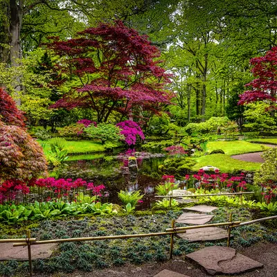 Japanese garden