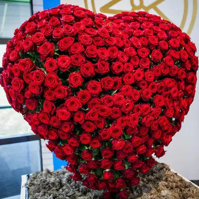 Heart of roses