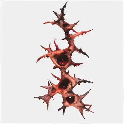 WSC_01