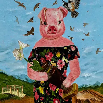 Lady Pig #1/3