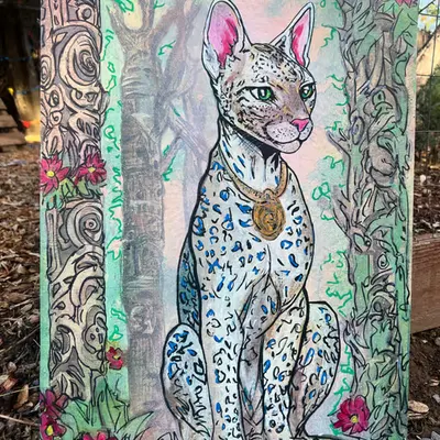 meow