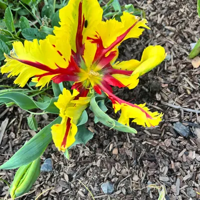 Surprise!