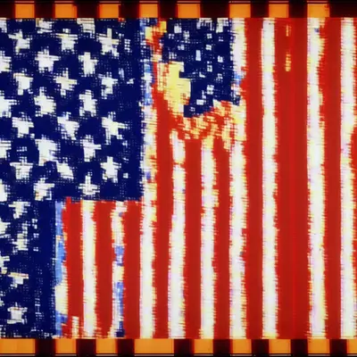 Jasper Johns's Flag