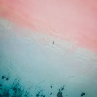 Hidden Paradise #1/44