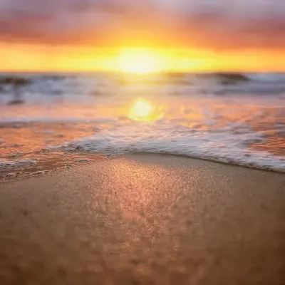 Zen