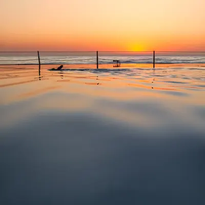 Dawn Swim