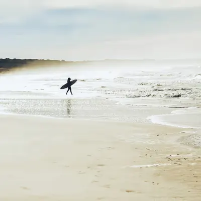 Surf Days