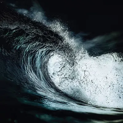 The Wave