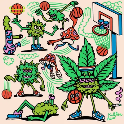 Killer Acid Basketball Association