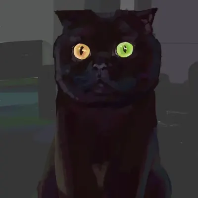 Black Cat