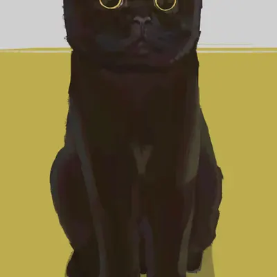 MEOW🐈‍⬛