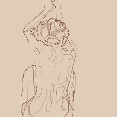 sketch