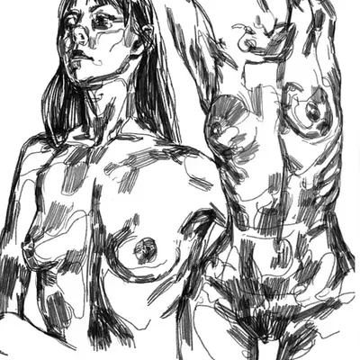 sketch