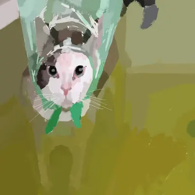 😾🎨
