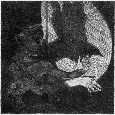 Shadow Game