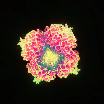 THE_VOID #2 :: Higgs // Tesseract 4D Field Synesthetic Synthesis