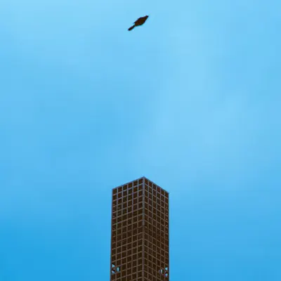 _PRANSELADAMS