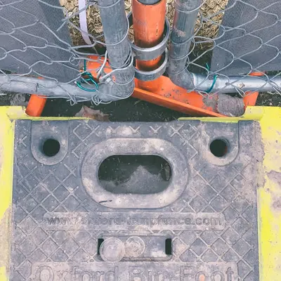 5GEEZUS #589
