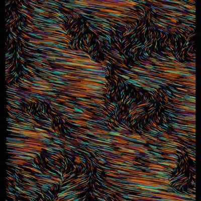 BASED MAZE #8